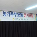 2011년3월11일부산강동농협에서 이미지