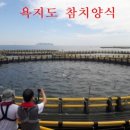 제주외해양식1