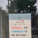 테리네간식 이미지