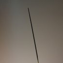 올디레 | 올디레(Ordi.re) 인센스 홀더 'Insense Holder.Cognac'
