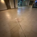 안광목장 | 개호두와 제주여행