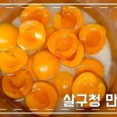 새콤달콤 살구청 만들기 이미지