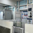 다이소 건너편 횡단보도 이미지