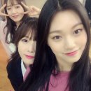 다도연 이미지