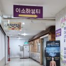 이소하뷰티
