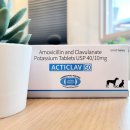 속편한동물약국 이미지