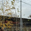 호반 | 춘천카라반 1박후기 &#39; 호반캠핑장 &amp;글램핑 카라반 춘천점 &#39;