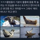해피빠나나 챙🍌