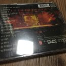 서태지와아이들라이브 이미지