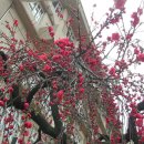 대구여자상업고등학교 이미지