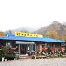 은행나무숲 주차장 부근 이미지