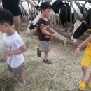 고구려 목장 이미지