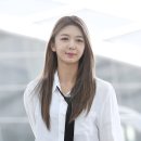 다미컴퍼니 뉴스엔