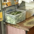 거농치킨 이미지