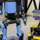 (주)씨드그룹 | 260111 주말 투자 단상 : 주마가편