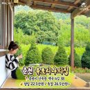 스테이인숲 이미지