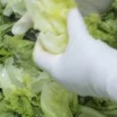 청도중고등학교(급식실) 이미지