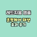 금창초등학교 | 레드지움 앰플 효과 내돈내산 후기 성분 주의사항 추천