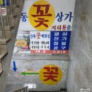 두바이 무도장 이미지