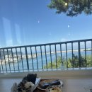 카페몰로 | [ 태안 ] 태안 오션뷰 카페몰로 내돈내산 후기