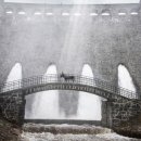 이오농장 이미지