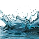 바이칼휘트니스 이미지