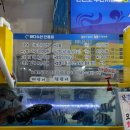 버스정류소_화곡본동시장 | 안면도수산시장 조개포장 맛집 매장에서 식사 가능 바다수산 35호 솔직후기