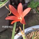 주황 이미지