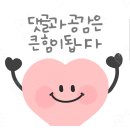 팔도맛집 | 강릉맛집! 강릉 현지인도 극찬하는 맛집 !! &#34;팔도전복해물뚝배기&#34; 내돈내산 솔직후기!😋