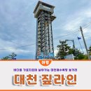 대천해수욕장 대천 놀거리 짚트랙코리아 대천 짚라인 가격 할인