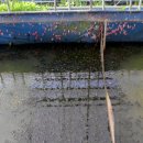 무주우렁이농장 이미지