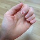 체리네일 이미지