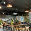 카페 수 이미지