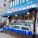 날으는산오징어 이미지