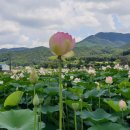 하늘꽃마을기업 이미지