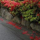 마산면사무소 앞 이미지