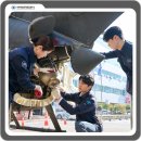 유일부분정비 이미지