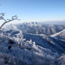 2019.1.19(토) 덕유산 눈꽃축제 이미지