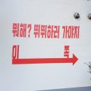 글램독통영 이미지