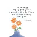 루치아님 축하드려요 이미지