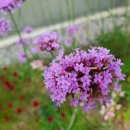 THE채움공인중개사사무소 이미지