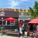 [춘천] 학곡리막국수닭갈비 주말 오픈런 후기 🐔