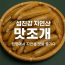 캠핑에서 즐기는 자연산 별미, 섬진강 맛조개의 모든 것!