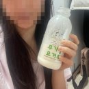 보배목장 | 평창보배목장 무가당요거트 리얼후기 (feat. 변비해소템)