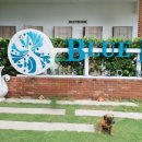 리프어학원 | 갈테야 갈테야 블루리프로 갈테야