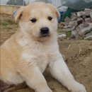 내가초등학교 이미지