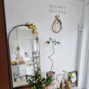 오손도자기 이미지