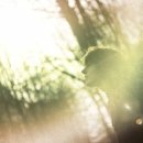 어느 날 오후 이미지