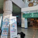 대전교육과학연구원 1층 | 서울근교 아이와 함께 가족여행 가볼만한곳 대전교육과학연구원 놀이과학관