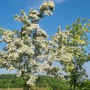 교항1리 이미지